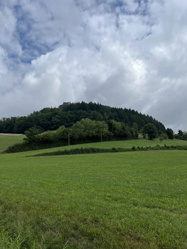 Burg Hohengeroldseck ab Schönberg