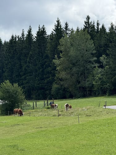 Blindenseerunde