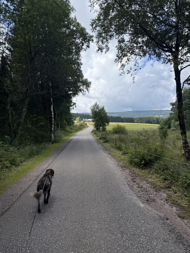 Blindenseerunde
