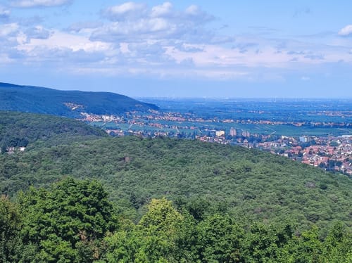 Hambacherschloss über Nollenkopf