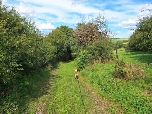 Grenzblickweg (Traumschleife)