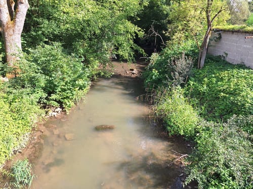 Grenzblickweg (Traumschleife)