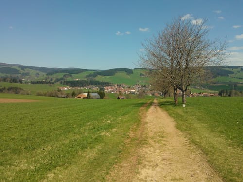 Sankt Peter - Hochgericht
