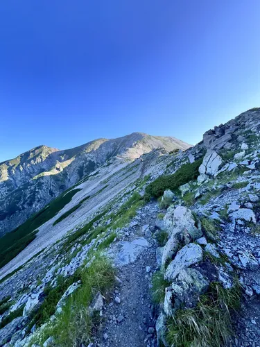 山脈の基部/Base of the Mountain 日本語　RF Cold Foil/Flesh and Blood/日本語版/山脈の基部/Base of the