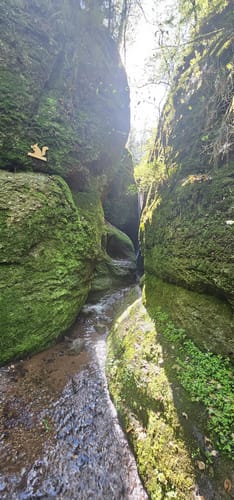 Drachenschlucht
