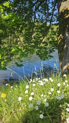 Drachenschlucht