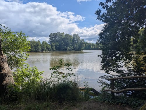 Waldrunde beim Kloster Chorin