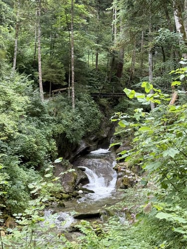 Hausbachklamm und Unterberg ab Weiler