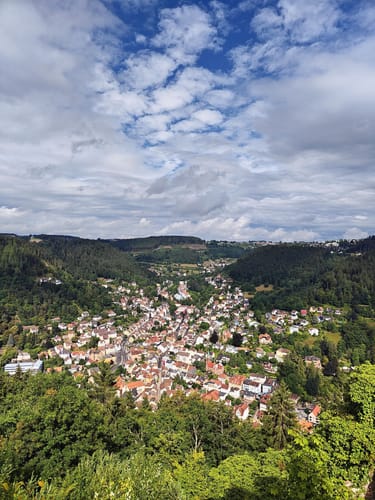 Von Tierheim zum Hohenschramberg