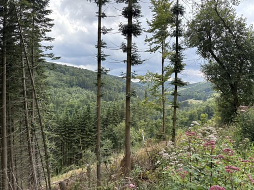 Von Brilon Wald über die Bruchhäuser Steine zur Ettelsberg-Seilbahn