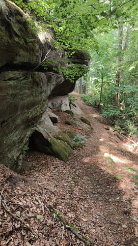 Rabenfels und Ringstein