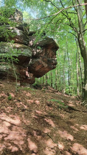 Rabenfels und Ringstein