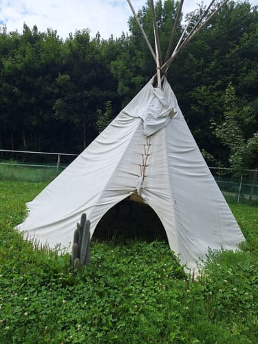 Wehr - Dinkelberg - Hasel