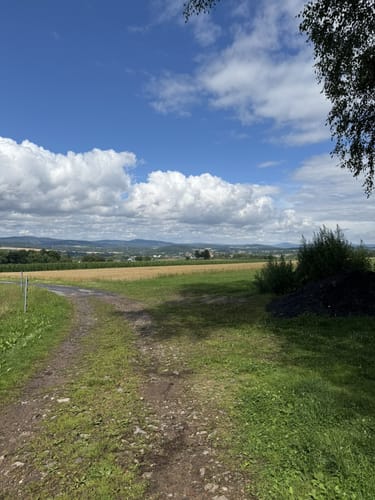 Moosbach Rundwanderweg 3