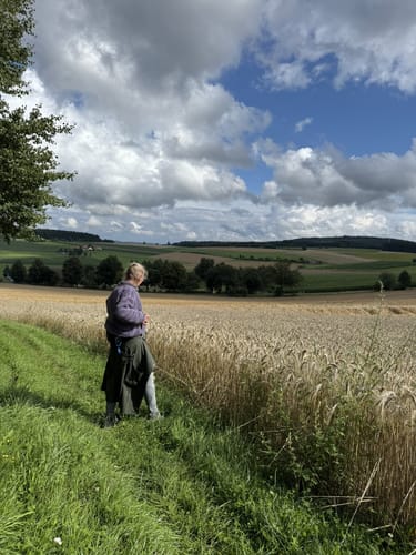Moosbach Rundwanderweg 3