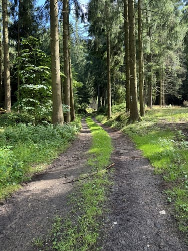 Moosbach Rundwanderweg 3