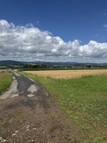 Moosbach Rundwanderweg 3