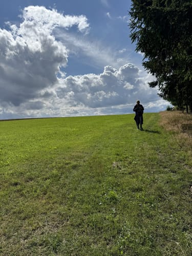 Moosbach Rundwanderweg 3