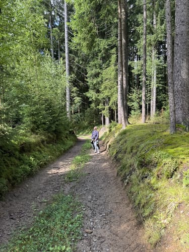 Moosbach Rundwanderweg 3