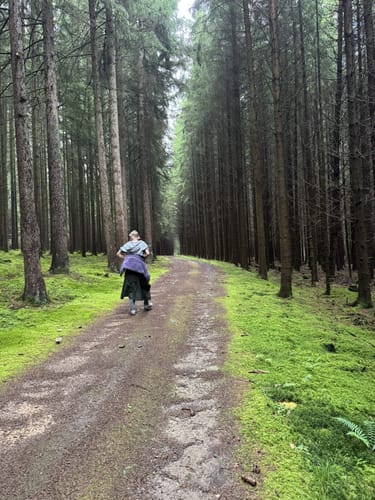 Moosbach Rundwanderweg 3