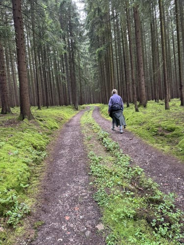 Moosbach Rundwanderweg 3