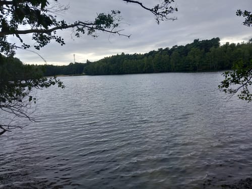 Um den Möllersee