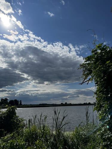 Blankensee Rundweg zum Vogelbeobachtungsturm