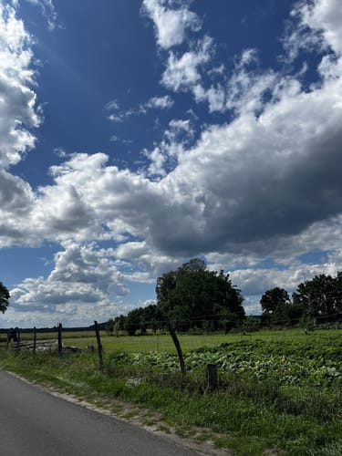 Blankensee Rundweg zum Vogelbeobachtungsturm