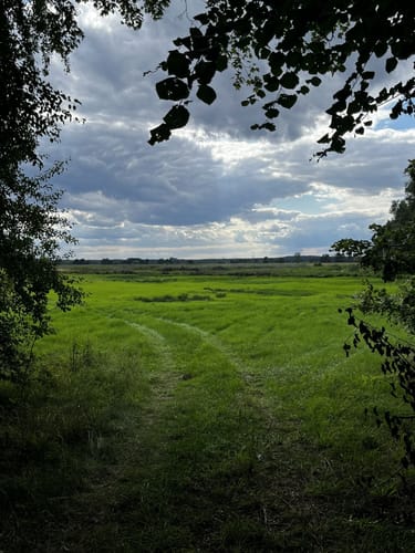 Blankensee Rundweg zum Vogelbeobachtungsturm