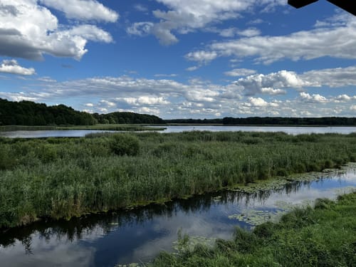 Blankensee Rundweg zum Vogelbeobachtungsturm