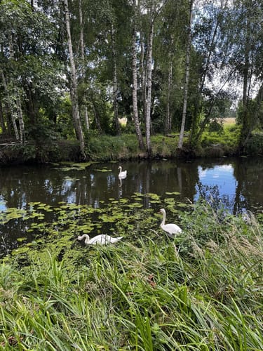 Blankensee Rundweg zum Vogelbeobachtungsturm