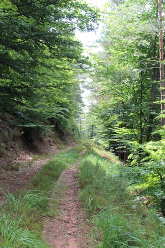 Hornesselswiese und Stilles Tal