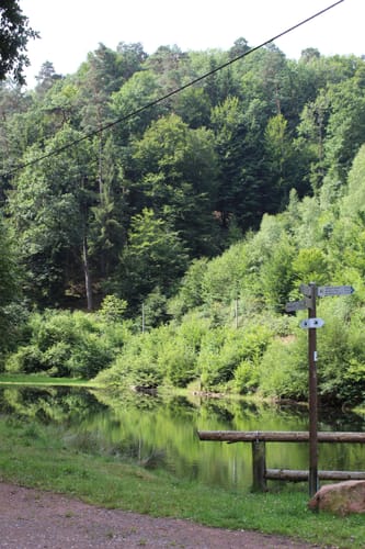 Hornesselswiese und Stilles Tal
