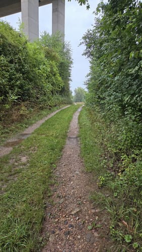 Durch Alzey entlang der Selz