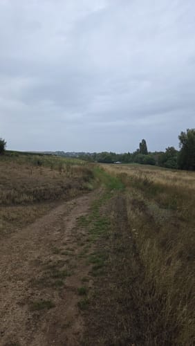 Durch Alzey entlang der Selz