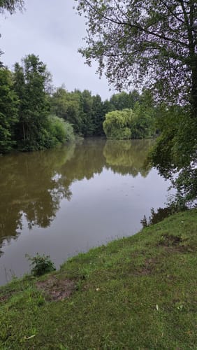 Durch Alzey entlang der Selz