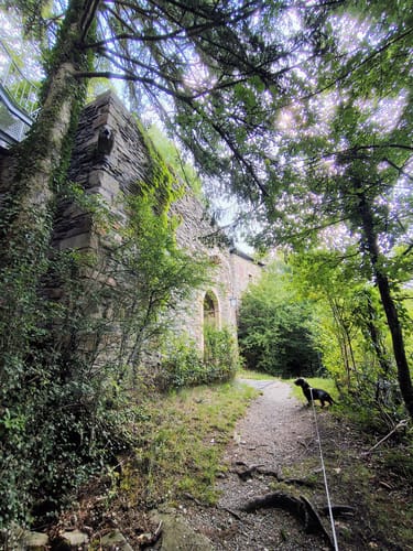 Premiumwanderweg: Vitaltour Schlossweg