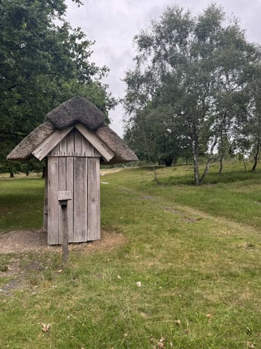 Lüneburger Heide: Einem Sand - Niederhaverbeck