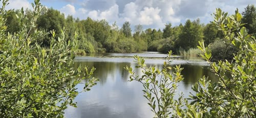 Süderholm - Ostroher- Süderholmer Moor -  Stadtpark