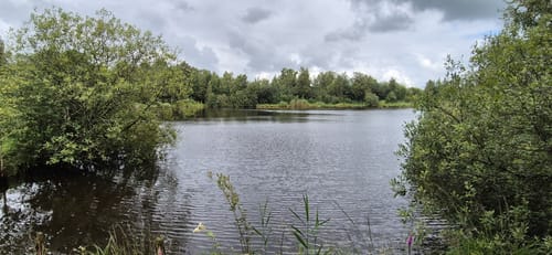 Süderholm - Ostroher- Süderholmer Moor -  Stadtpark