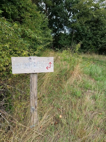 Um den Borkener See
