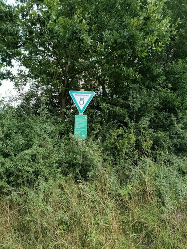 Um den Borkener See