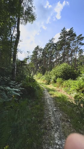 Wolfssee - Flootsmühle