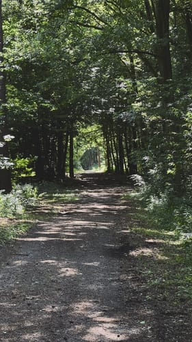 Wolfssee - Flootsmühle
