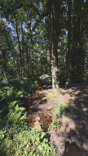 Wolfssee - Flootsmühle