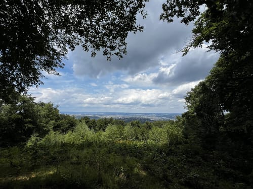 Zum Kühkopf und dem Hasenberg