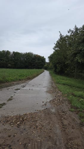 Durch Alzey entlang der Selz