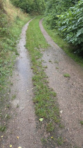 Durch Alzey entlang der Selz