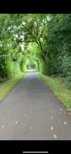 Mainradweg Etappe 5: Würzburg - Lohr am Rhein