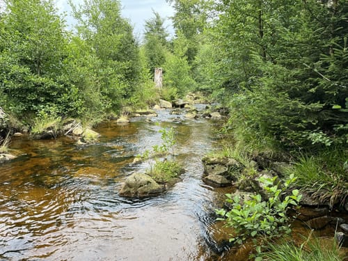 Durch das Ilsetal zur Plessenburg